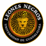 Leones Negros